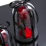 "Eternal Rose" Big